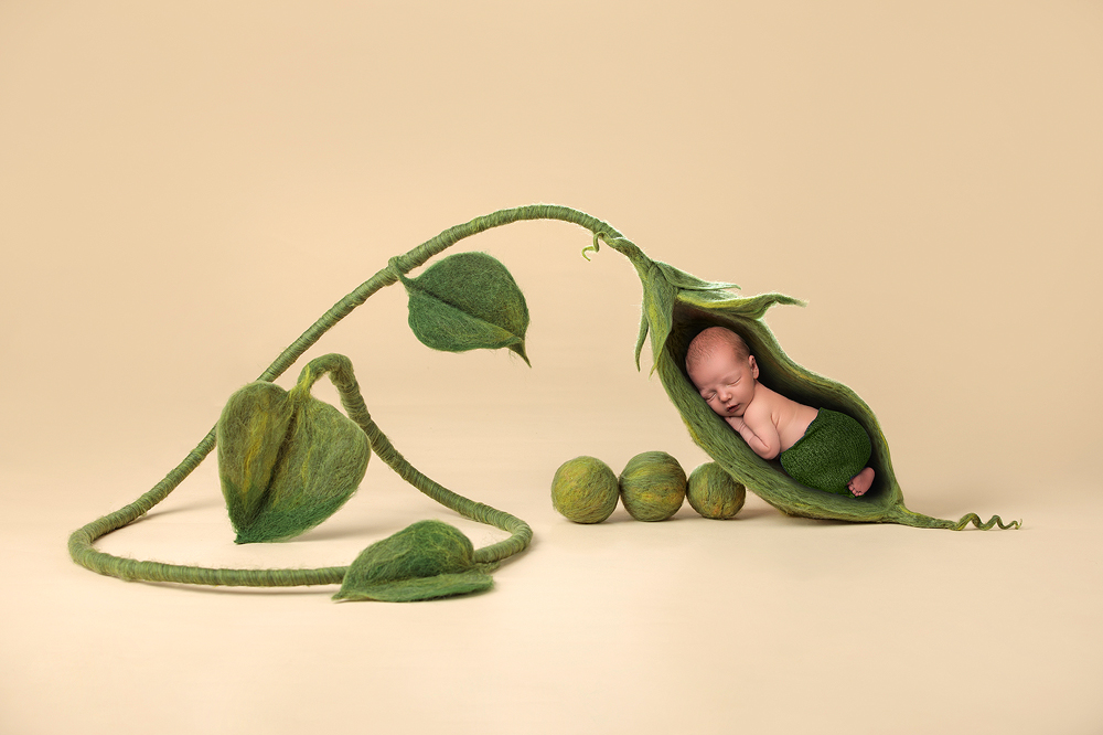 Seattle Newborn Photography, Seattle Newborn Photographer, Seattle Baby Photographer, Fairies and Frogs Photography
